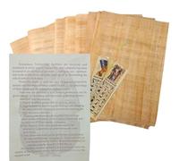 Egyptian Papyrus Blank Paper Set of 10 Sheets for Art Projects Scrapbooking Album Refill Scrolls and Teaching Ancient Hieroglyphic History 8x12in (20x30cm) + 2 Bookmark Gift (Set of 10)