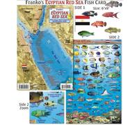 Egyptian Red Sea Dive Map & Reef Creatures Guide Franko Maps Laminated Fish Card