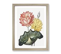 Egyptian Water Lilies By Robert John Thornton Vintage Framed Print | A2 Oak Framed Wall Art | Ready to Hang | Classic Nature Picture | Living Room Bedroom Lounge Office