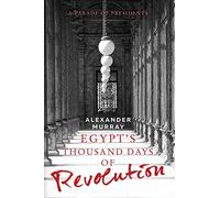 Egypt's Thousand Days of Revolution: A Parade of Presidents