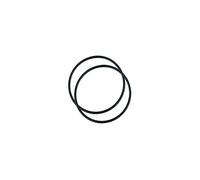 EHEIM 7221058 - Seal For Universal Pump 1200 And Professional Filter 3