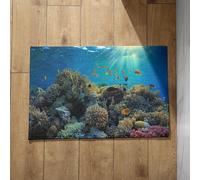 EHOMERY Funny Welcome Mats for Front Door Inside Large Bathroom Mat Non Slip Underwater World Small Fish Coral Funny Doormats Foot Matt 45x75cm, Non-Slip Plush