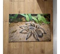 EHOMERY Mats for Front Door Indoor Doormats for Carpet Spider Doormats Inside Washable Floor Mats for Home Sitting 45x75cm, Non-Slip Plush Cotton Decor Doormat