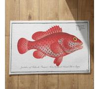 EHOMERY Outside Door Mats for Back Queen Fish Welcome Front Cute Foot 50x80cm, Non-Slip Plush Cotton Decor Doormat