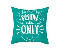 EHOMERY Pillow Covers Standard Size Zippered Decorative Cushion With Closure Positive Vibes Only Silk Throw Pillow Covers King Covera Couch Teal 18X18 Inches