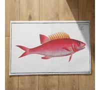 EHOMERY Ultra Thin Door Mat Indoor Bathroom Water Absorber Fish Extra Large Outdoor Mats for Front Long Dirt Trapper 45x75cm, Non-Slip Plush Cotton Decor Doormat