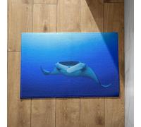 EHOMERY Unique Doormat Foot Mats Indoor Skate Door Matand Runner Set Hallway Funny Welcome Mats for Front Door Indoor 50x80cm, Non-Slip Plush Cotton Decor Doormat