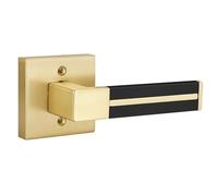 EHOMEWARE Gold Dummy Door Handles with Black Leather 1 Pack, Half Dummy No Lock Function Without Latch or Key, Pull or Push Function for Pantry or French Doors