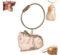 EHOTER Cat Hair Storage Bottle Keychain for Collecting Cat and Dog Hair Cat Hair Storage Capsules Transparent Cats Hairs Storage Bottle Cute Pet Memorial Gifts for Cats Lover (Silver Tiger Cat)