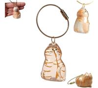 EHOTER Cat Hair Storage Bottle Keychain for Collecting Cat and Dog Hair Cat Hair Storage Capsules Transparent Cats Hairs Storage Bottle Cute Pet Memorial Gifts for Cats Lover (Ginger Cat)