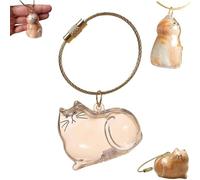 EHOTER Cat Hair Storage Bottle Keychain for Collecting Cat and Dog Hair Cat Hair Storage Capsules Transparent Cats Hairs Storage Bottle Cute Pet Memorial Gifts for Cats Lover (Transparent Cat)