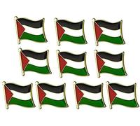 EHOTER Palestine Flag Pin Badge, Palestine Palestinian Flag Pin Badge Lapel, Palestine National Enamel Badge Armband (10 Pack)
