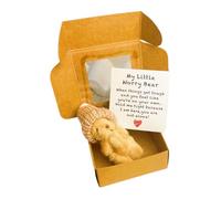 EHOTER Worry Bear Hug in a Box Little Pocket Bear Hug Mini Stuffed Worry Bears Fluffie Stuffies Animal Cute Doll Decoration Gifts for Children Women Friend (Brown)