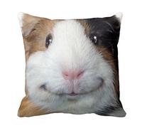 EHSaleStore Smiling Guinea Pig Cotton Square Throw Pillow Case Cushion Cover 18 x 18 inches