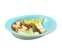 Ehucon Adaptive Weighted Scoop Plate with Non-Slip Base, Divided Dinner Plate for Disabled & Elderly, Eating Aids for Parkinson’s, Dementia & Hand Tremors (Bowl)