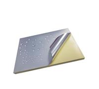 EHxCUF A4 Matte Silver PET Material Label Paper Brushed Golden Finish Waterproof Anti Scratch Compatible With Inkjet And Laser Printers 8 5mic 5mic(10 Brushed Golden)