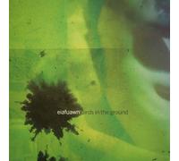 Eiafuawn - Birds In The Ground - Canary Yellow [VINYL]