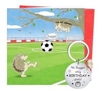 Eiapadeor Funny Hedgehog Birthday Card Gift - Hedgehogs Happy Birthday Greeting Card with Keychain Hedgehog Gifts for Men Women Him Her Animal Lover