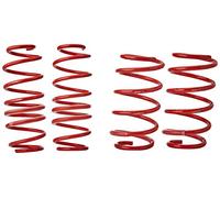 Eibach E10-10-009-01-22 Performance Pro-Kit Springs