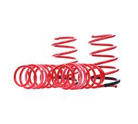 Eibach E10-10-009-03-22 Performance Pro-Kit Springs