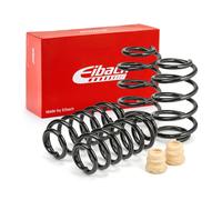 Eibach E10-15-009-02-22 lowering spring kit for Audi TT Pro-Kit