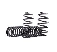 EIBACH E10-15-011-03-22 Suspension kit, coil springs