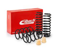 EIBACH E10-15-021-08-22 Suspension kit, coil springs