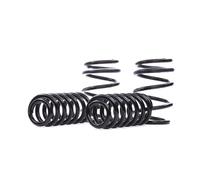 EIBACH E10-15-021-13-22 Suspension kit, coil springs