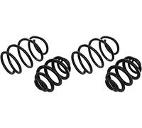 Eibach E10-20-001-02-22 Performance Pro-Kit Springs
