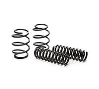 Eibach E10-20-031-01-22 Performance Pro-Kit Springs