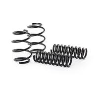 Eibach E10-20-031-02-22 Performance Pro-Kit Springs