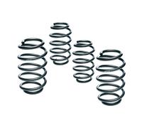 EIBACH E10-22-022-01-22 Suspension kit, coil springs