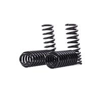 EIBACH E10-25-008-02-22 Suspension kit, coil springs