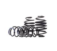 EIBACH E10-25-022-01-22 Suspension kit, coil springs