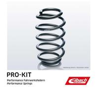 EIBACH E10-25-022-02-22 Suspension kit, coil springs