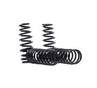 EIBACH E10-40-008-03-22 Suspension kit, coil springs