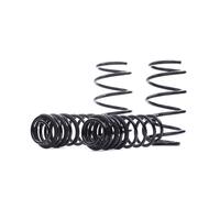 Eibach E10-40-011-01-22 Performance Pro-Kit Springs