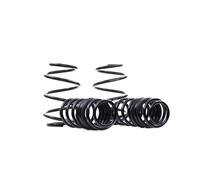 Eibach Pro-Kit Lowering Springs E10-40-036-04-22