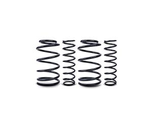 EIBACH E10-80-018-01-22 Suspension kit, coil springs