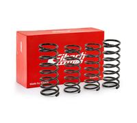 EIBACH E10-82-001-01-22 Suspension kit, coil springs