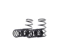 EIBACH E10-82-043-01-22 Suspension kit, coil springs