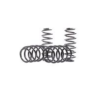 Eibach E10-85-008-02-22 Performance Pro-Kit Springs