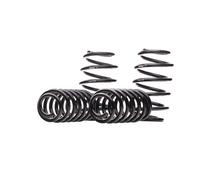 EIBACH E10-85-022-01-22 Suspension kit, coil springs