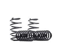 EIBACH E10-85-022-02-22 Suspension kit, coil springs