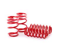 EIBACH E20-15-021-06-22 Suspension kit, coil springs