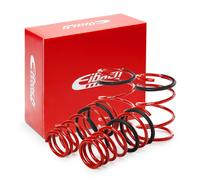 EIBACH E20-42-003-02-22 Suspension kit, coil springs