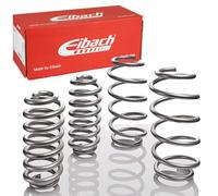 Eibach E30-71-007-01-22 Pro-Lift Kit