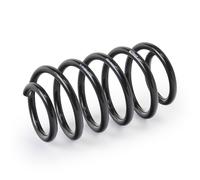 EIBACH F11-15-007-03-VA Coil spring
