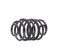EIBACH F11-25-037-01-RA Coil spring
