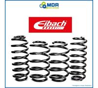 EIBACH E10-65-033-01-22 Suspension kit, coil springs